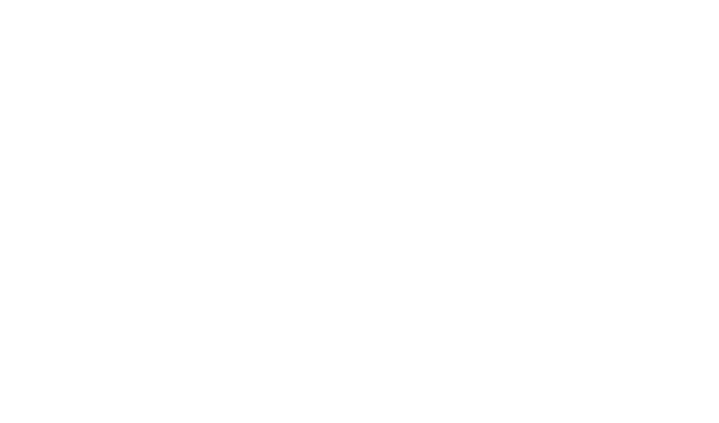 ISEA International